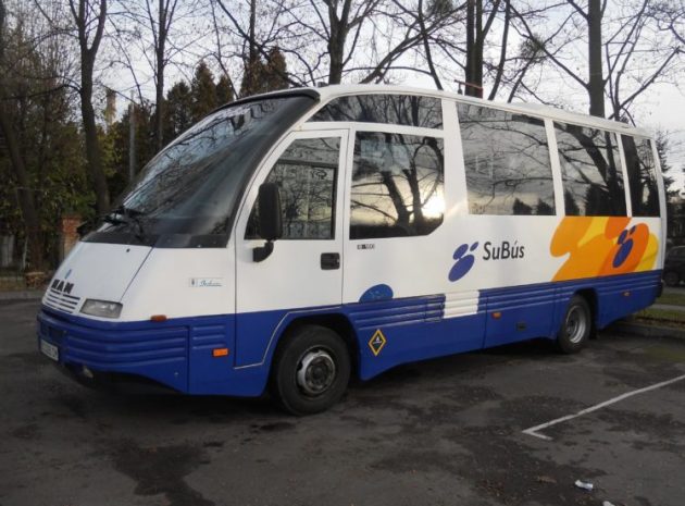 Прокат автобусів на 26 місць по місту Львову, трансфери в Карпати, Європу